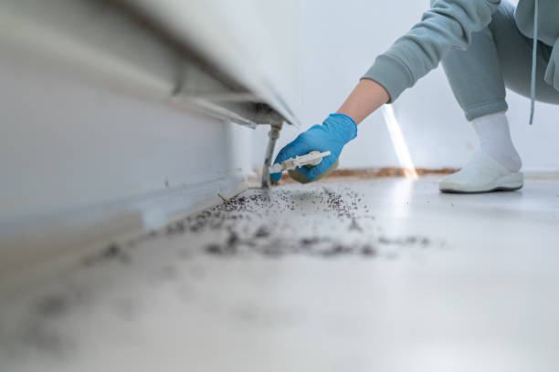 Best Pest Control Cost  in USA